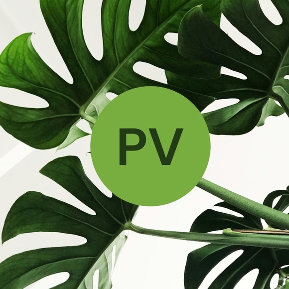 paulettevarns